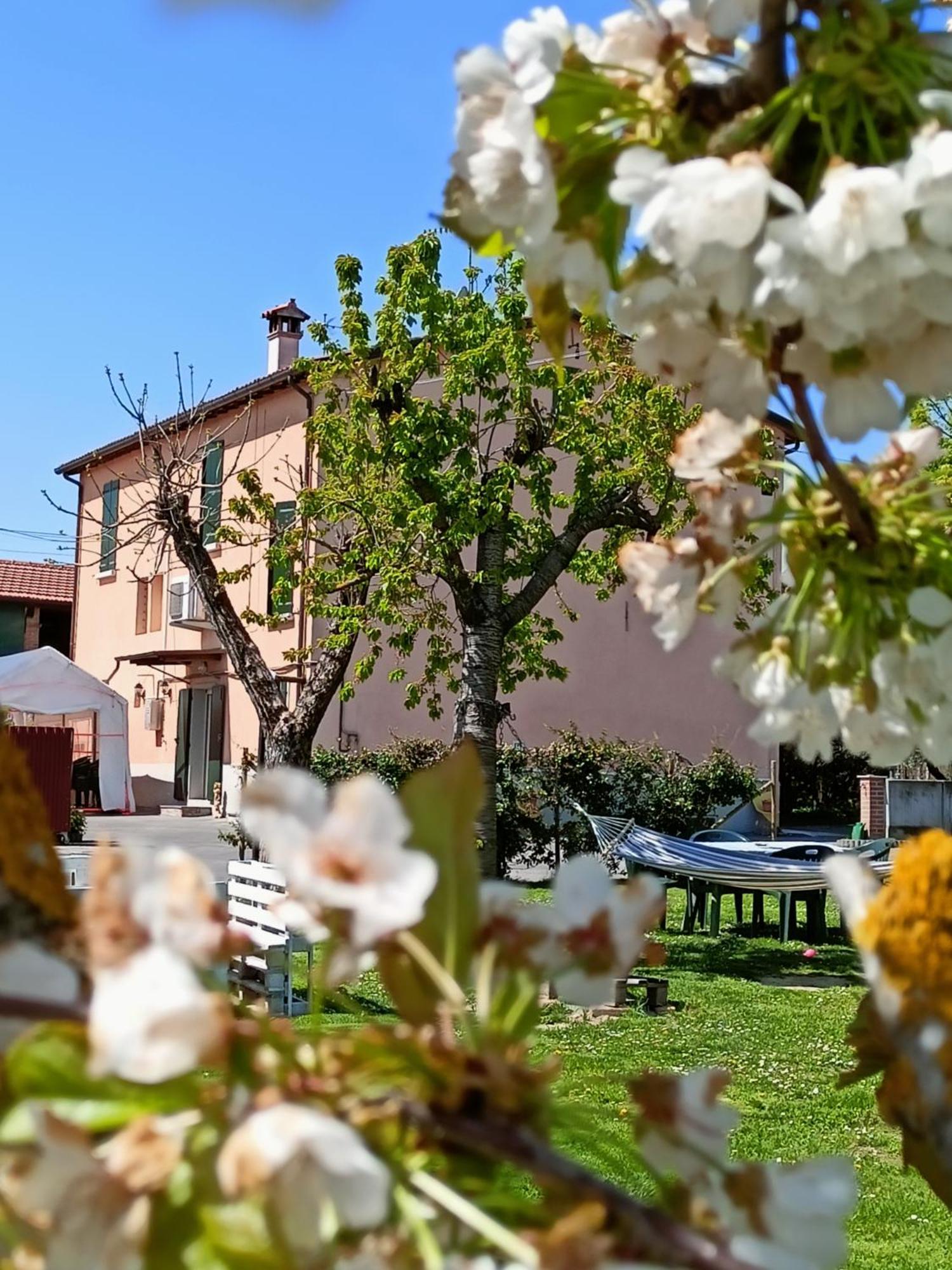 Bed and Breakfast La Casa della Nonna Brisighella Esterno foto